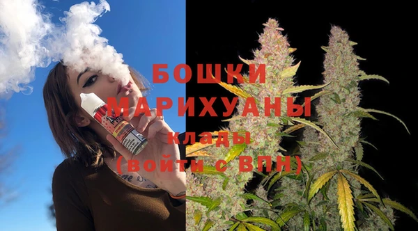 ГАЛЛЮЦИНОГЕННЫЕ ГРИБЫ Няндома