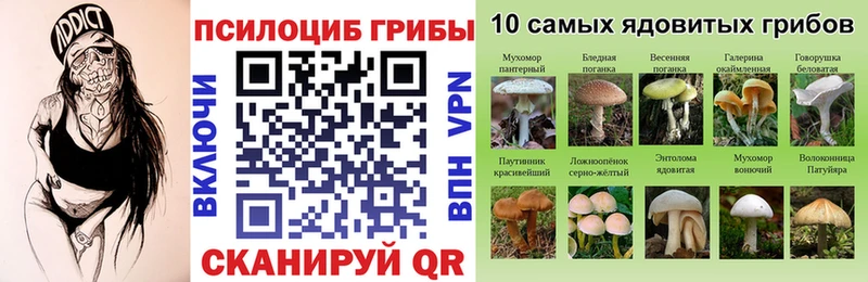 сколько стоит  Поворино  Псилоцибиновые грибы MAGIC MUSHROOMS 